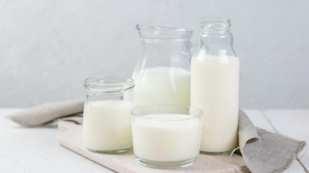 Manfaat Susu Sapi Murni
