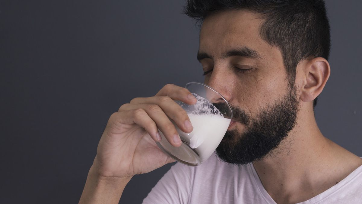 Manfaat Susu Sapi Murni
