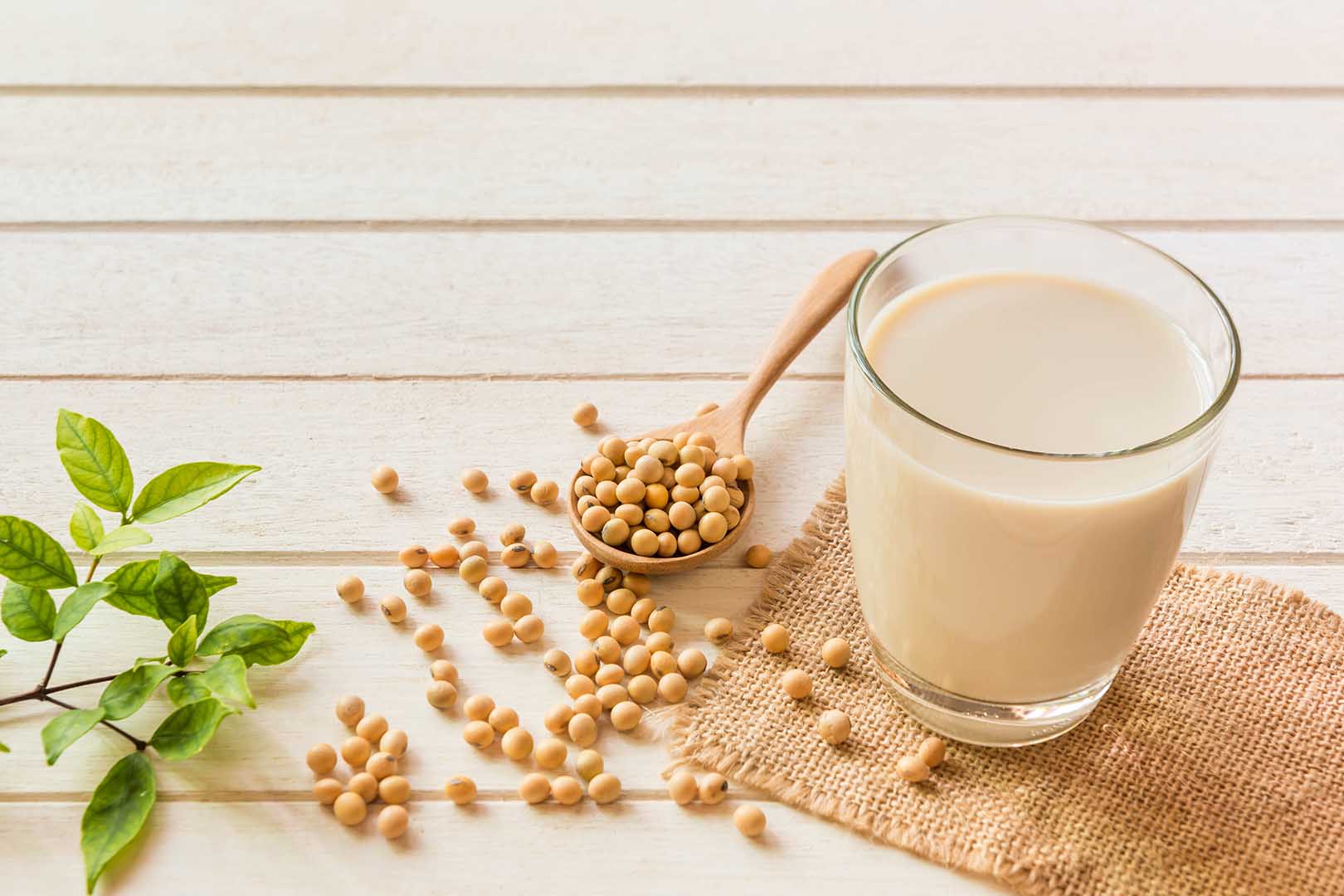 Cara Membuat Susu Kacang Kedelai