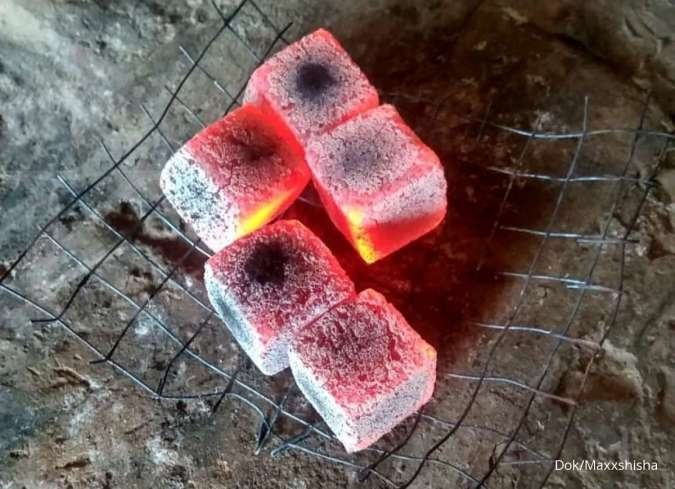 biomass briquette
