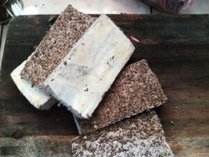 tempe bongkrek