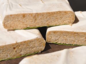 tempe gembus