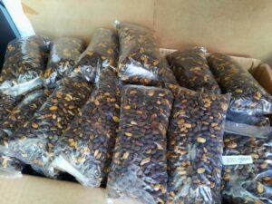 tempe munggur