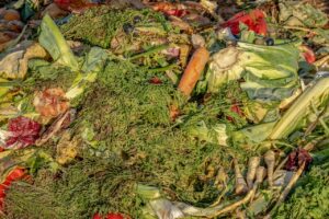 jenis sisa sayur untuk bahan hijauan