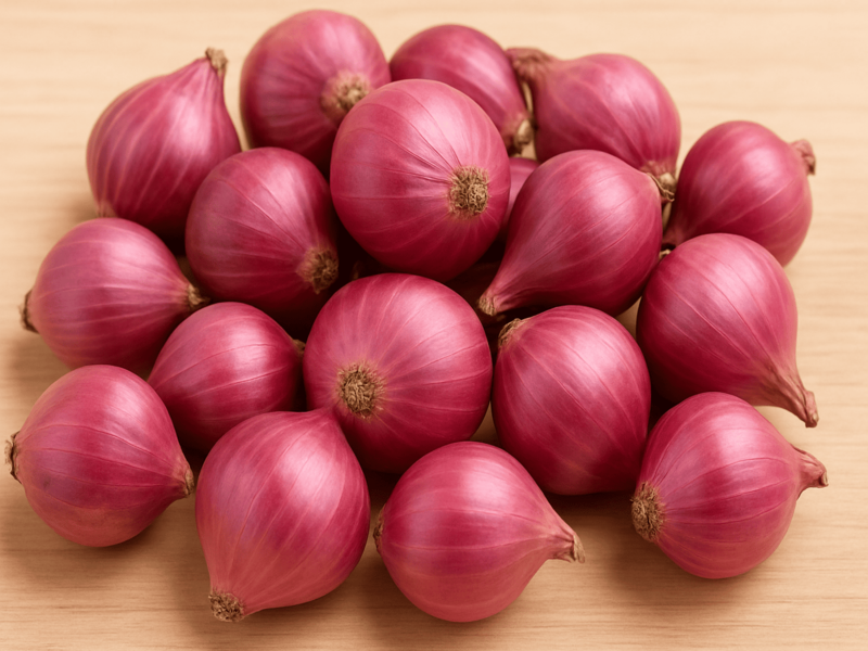 cara berbisnis bawang merah