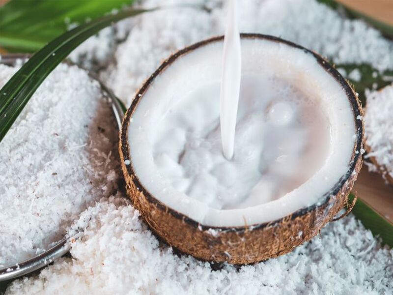 usaha santan kelapa rumahan