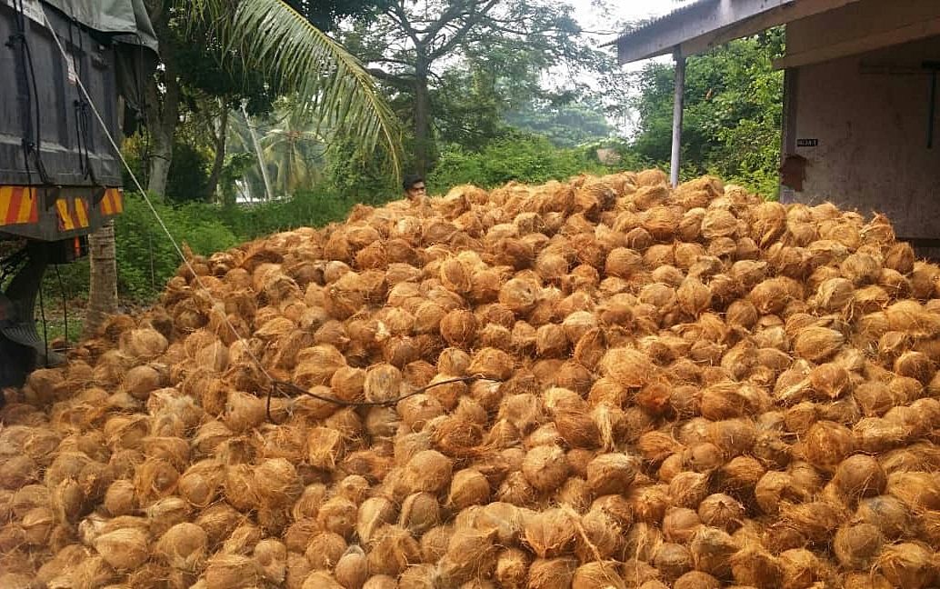 Teknologi Modern Pengolahan Limbah Sabut Kelapa