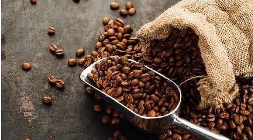tips pengolahan biji kopi