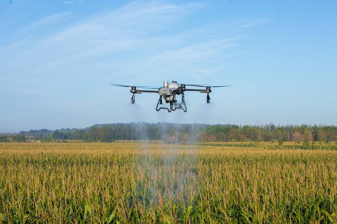 manfaat drone sparayer untuk pertanian