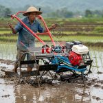 Cara Mengolah Lahan Kering agar Siap untuk Budidaya