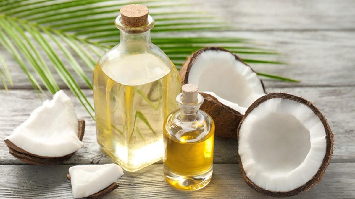 cara membuat minyak vco dari kelapa