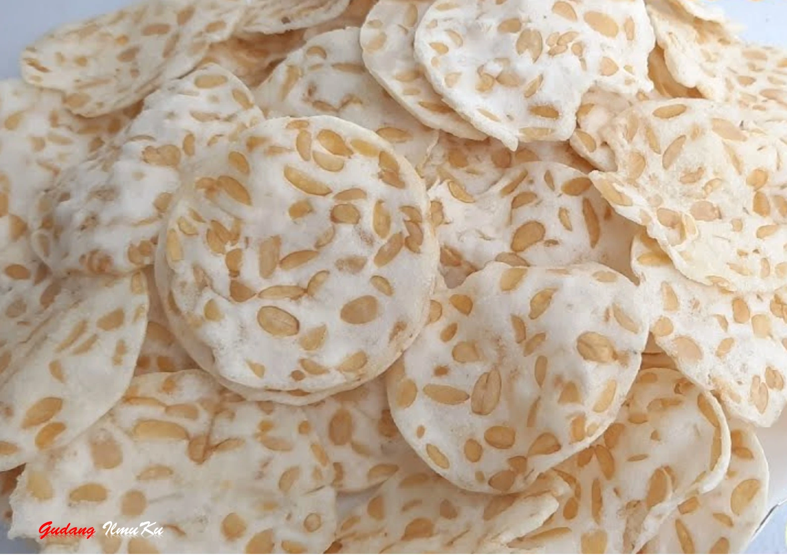 peluang usaha keripik tempe