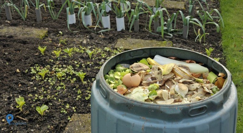 cara mengelola sampah organik