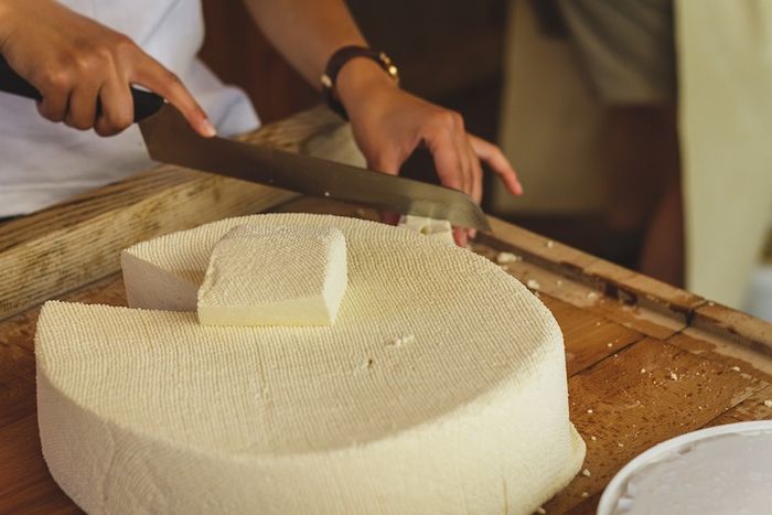 fermentasi keju menggunakan bakteri