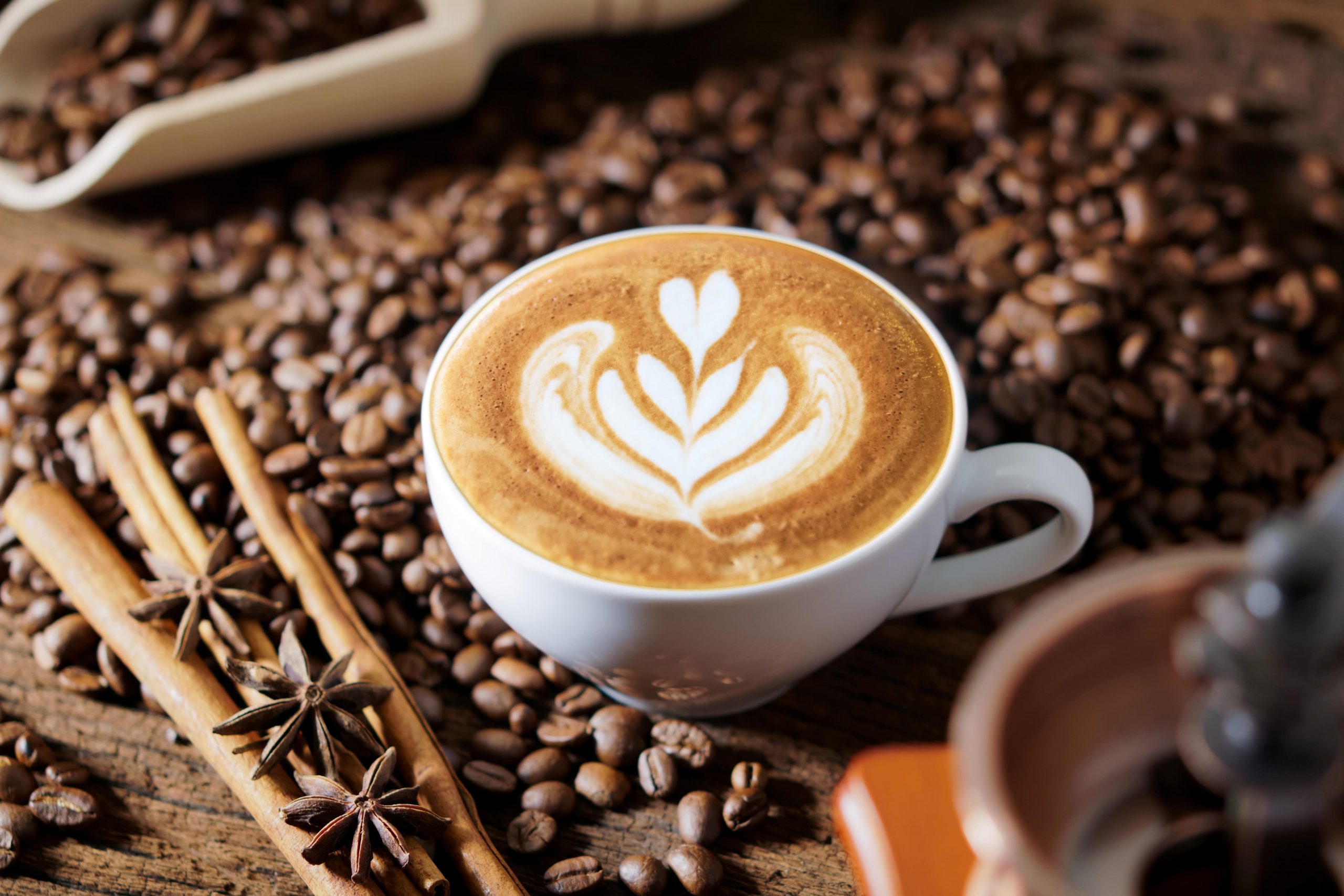 jenis kopi arabika terbaik