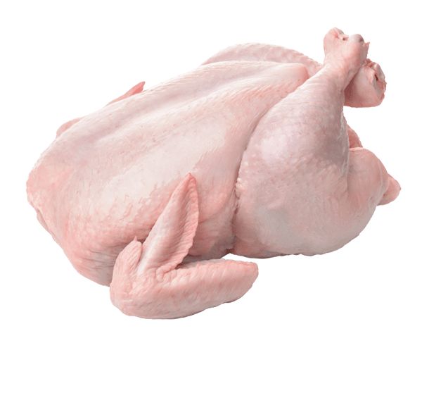 Usaha Potong Ayam Efisien Yang Menguntungkan