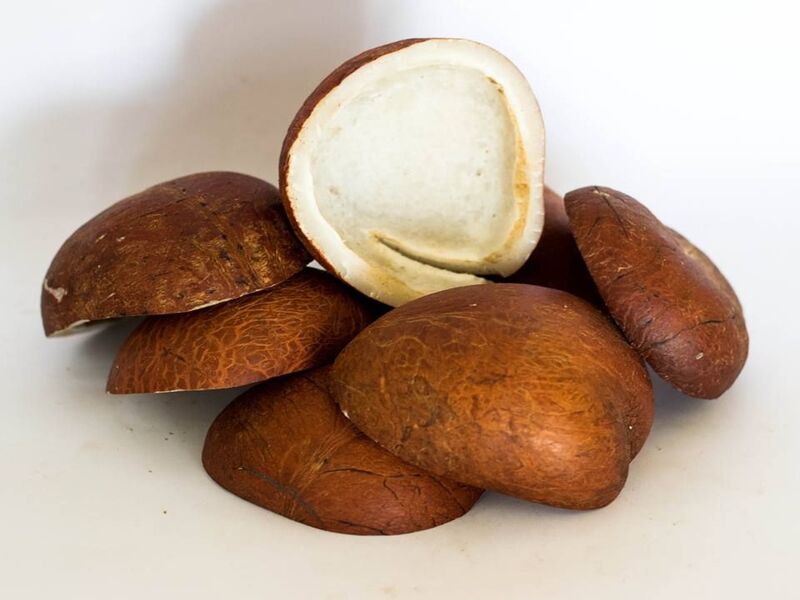Bisnis pengolahan kopra kelapa