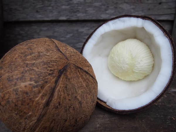 Parutan Kelapa Rumah Tangga