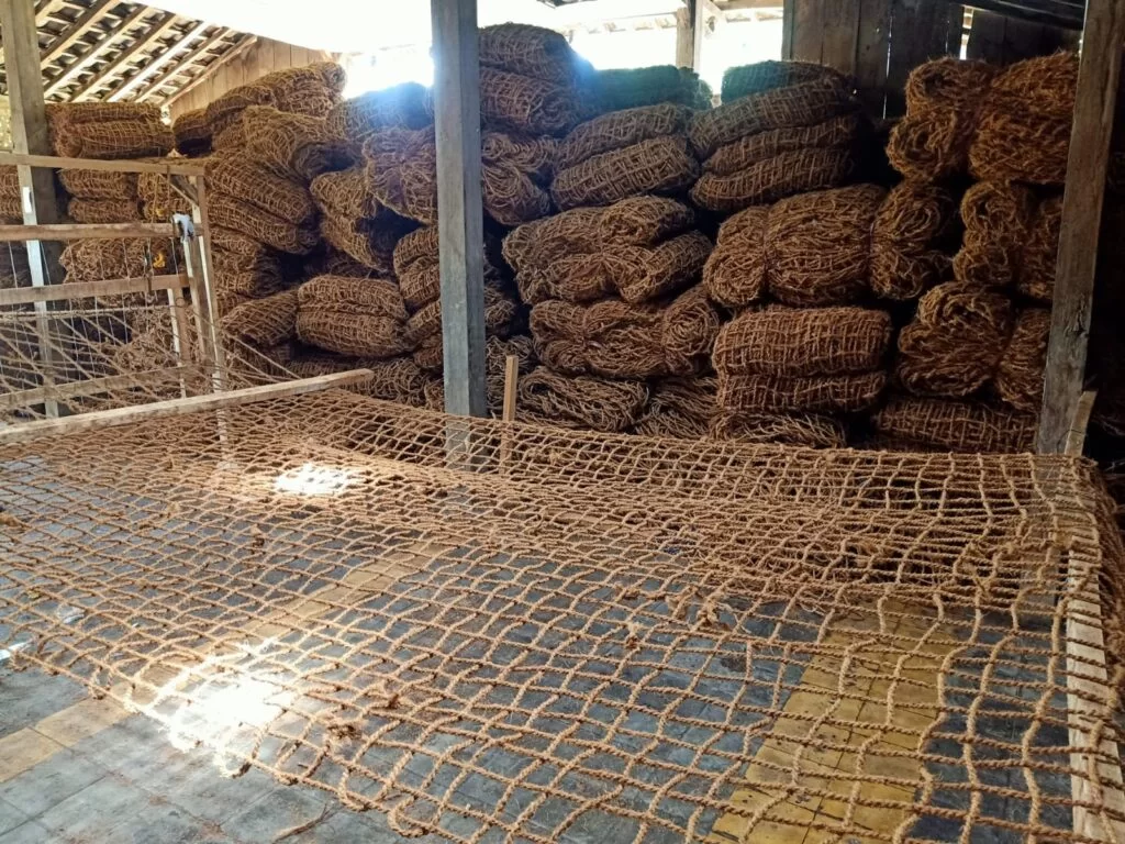 Media Belajar Konservasi dengan Teknologi Cocomesh