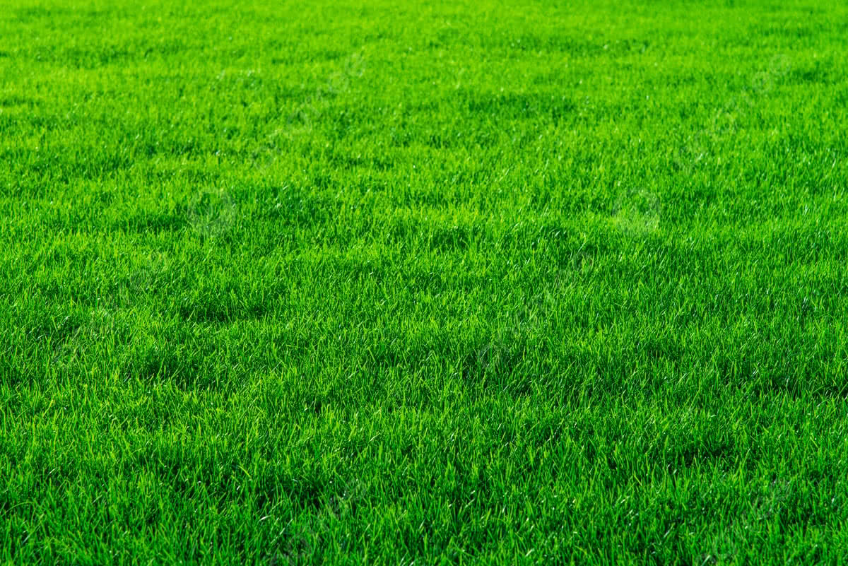 teknik pencacahan rumput modern