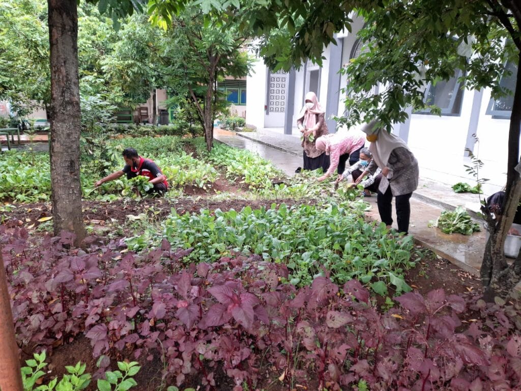 Pelatihan Cocomesh dalam Kegiatan Sekolah Hijau Terpadu