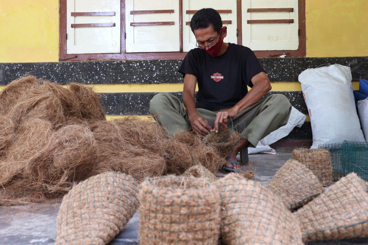 hasil penghancuran sabut kelapa