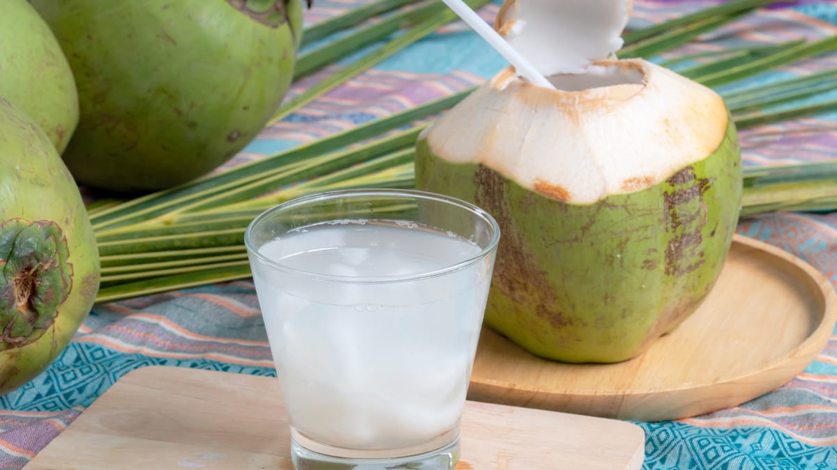 Pengolahan Kelapa Muda Praktis