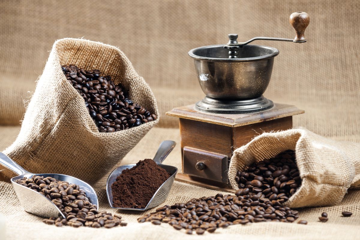 usaha kopi dengan grinder sendiri