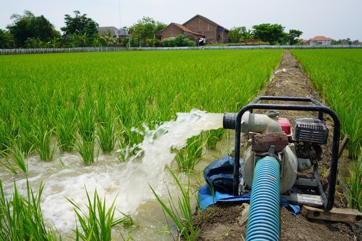 Manfaat Pompa Air Untuk Irigasi