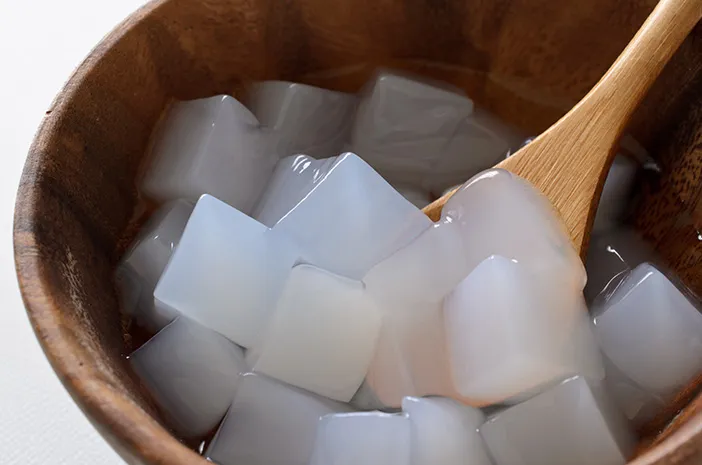 Mesin Pengiris Lembaran Nata De Coco