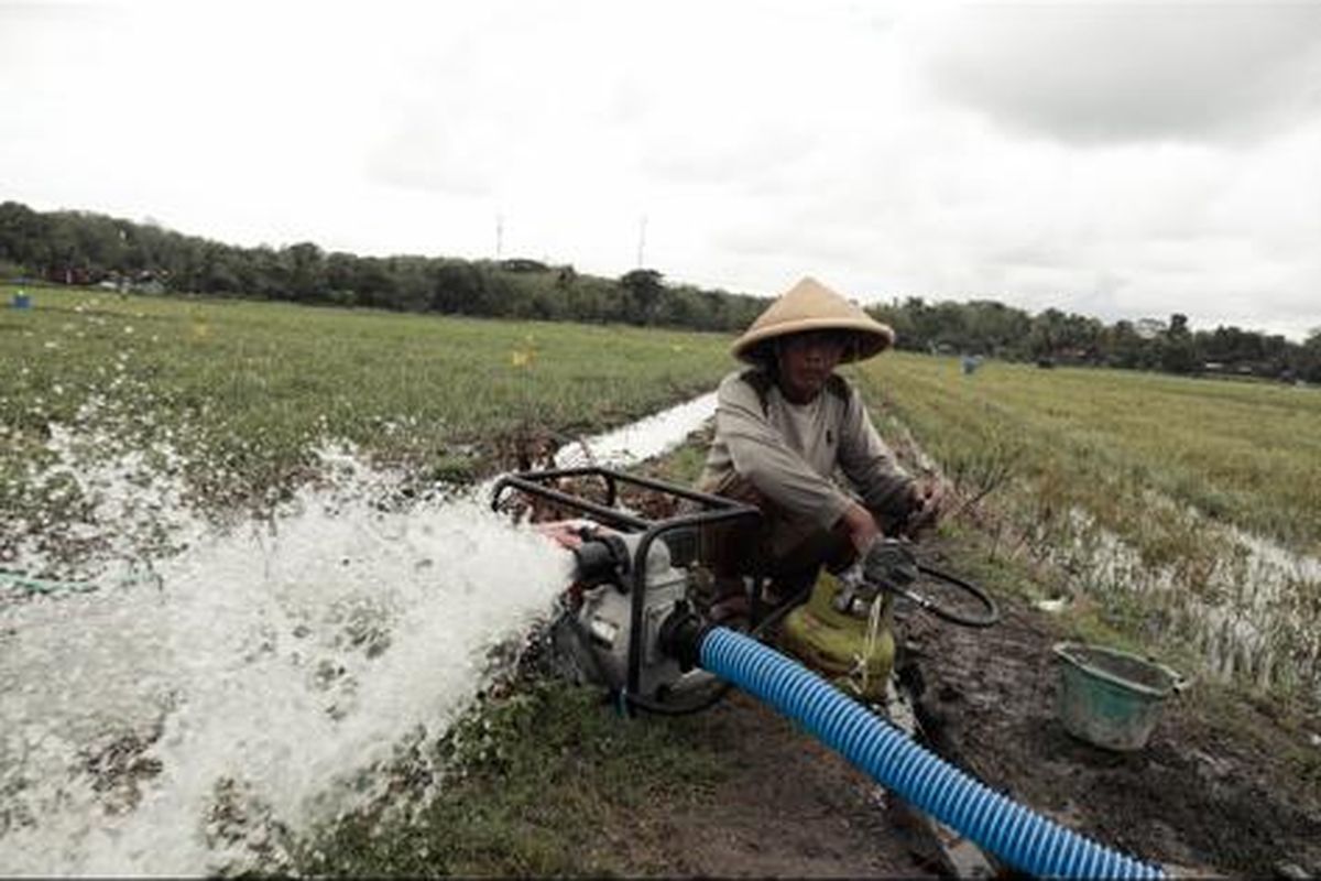 Pompa Air Irigasi Bantu Petani
