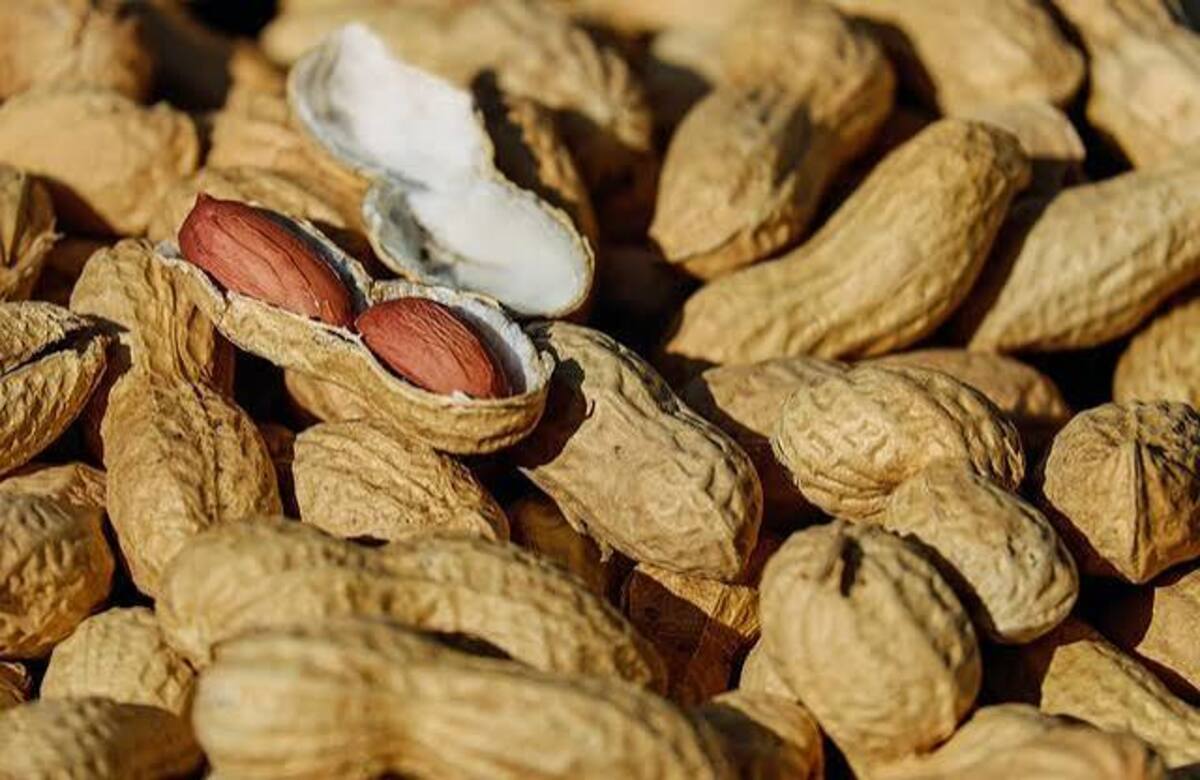 cara memisahkan kulit kacang tanah