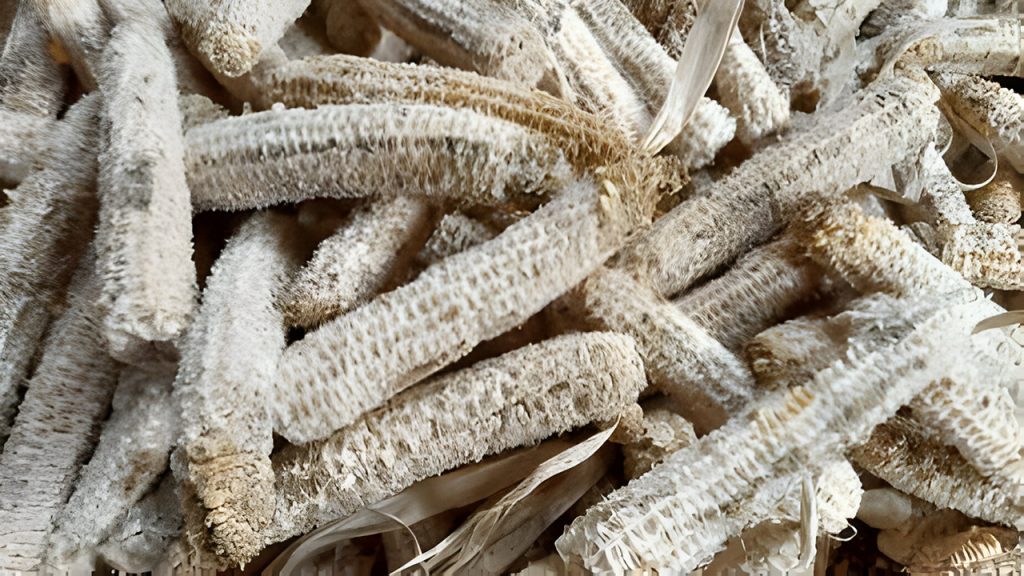 cara menggiling janggel jagung
