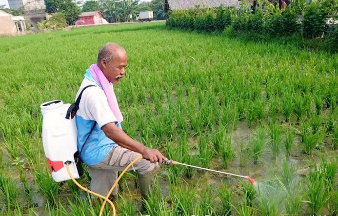 cara menentukan dosis semprot tanaman