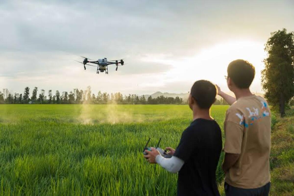 ketinggian drone saat menyemprot